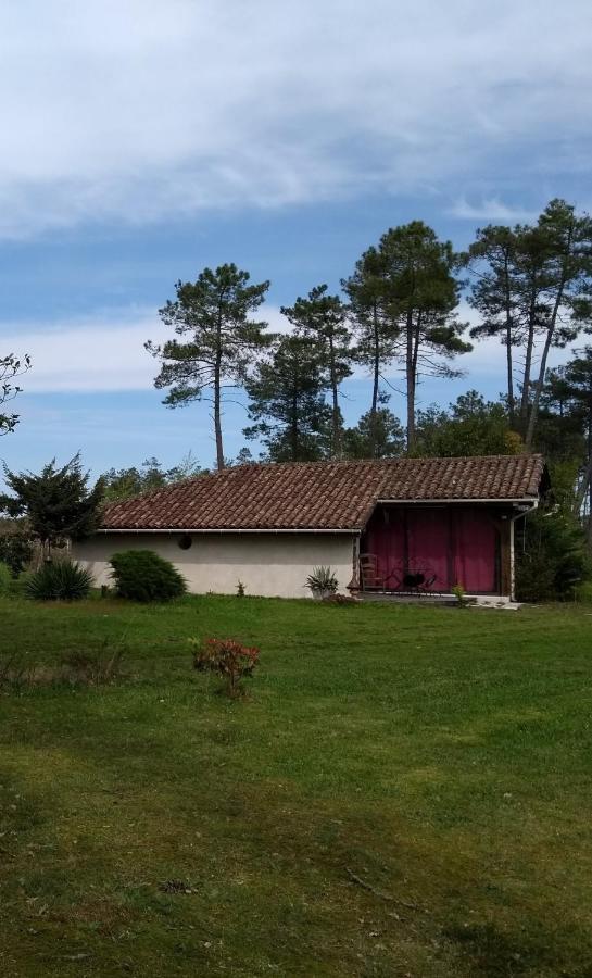 Maison Confortable Avec Terrasse En Bois Au Calme Sans Vis A Vis , 2 Chambres, Sur Un Parc De 4000M2 Arbore Et Clos Pissos Экстерьер фото